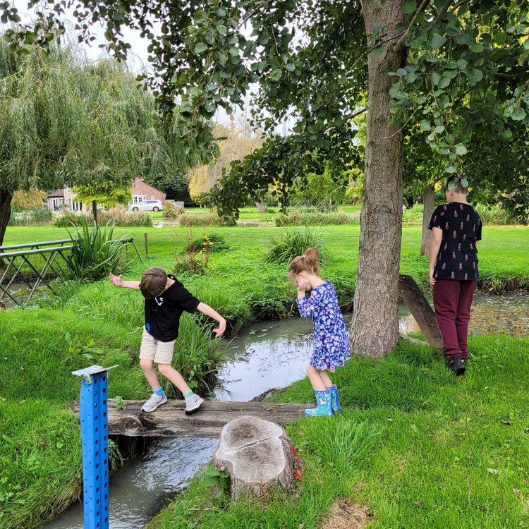 Children exploring a stream and crossing a log bridge together in a park