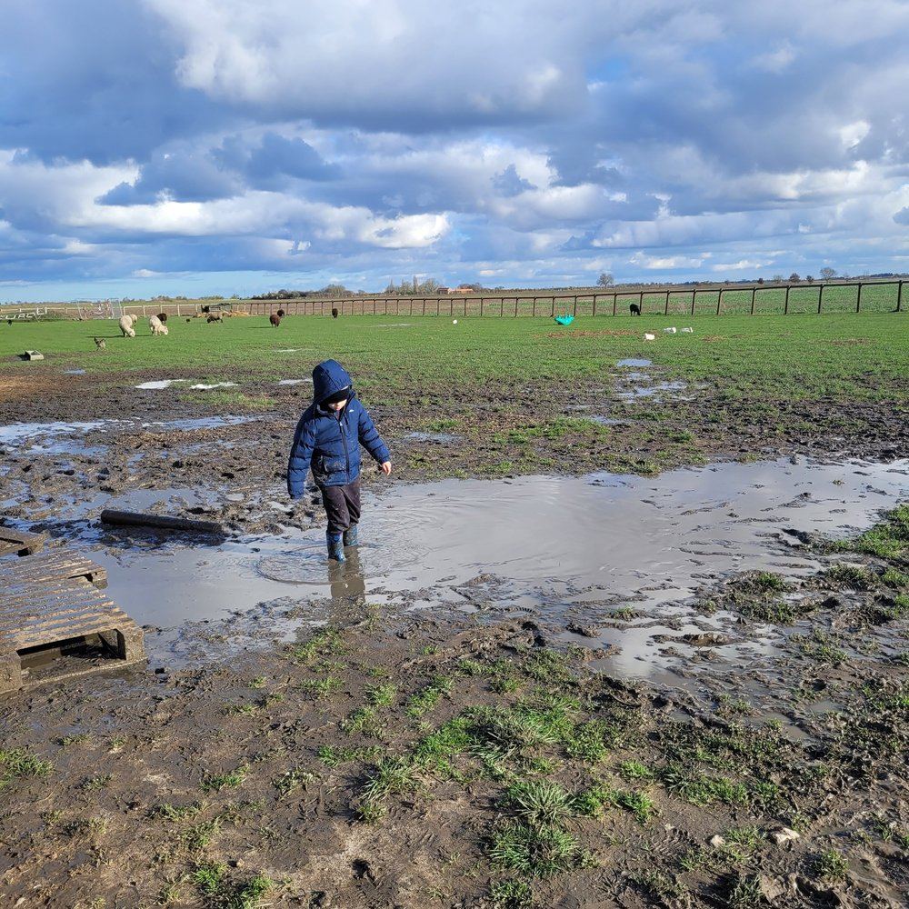 A young child splashing happily in a muddy puddle on a farm